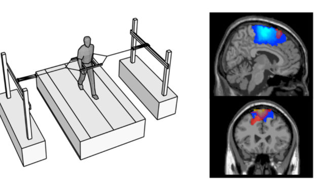 Stability of Gait