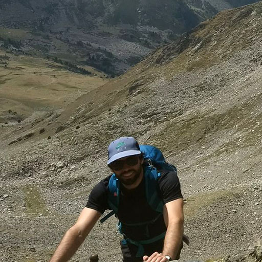 Nicolás Deschle - Coordination Dynamics | Human Movement Sciences