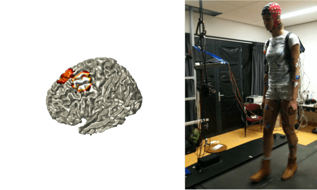 Active control and passively stable patterns