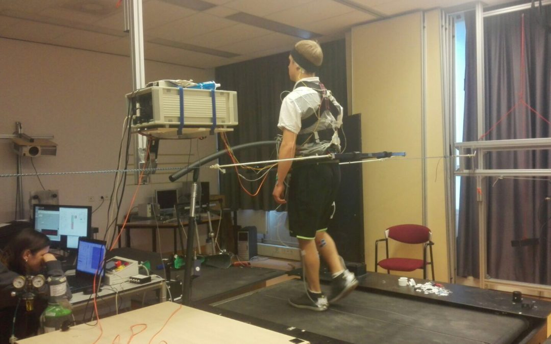 Sensory information for control of gait stability