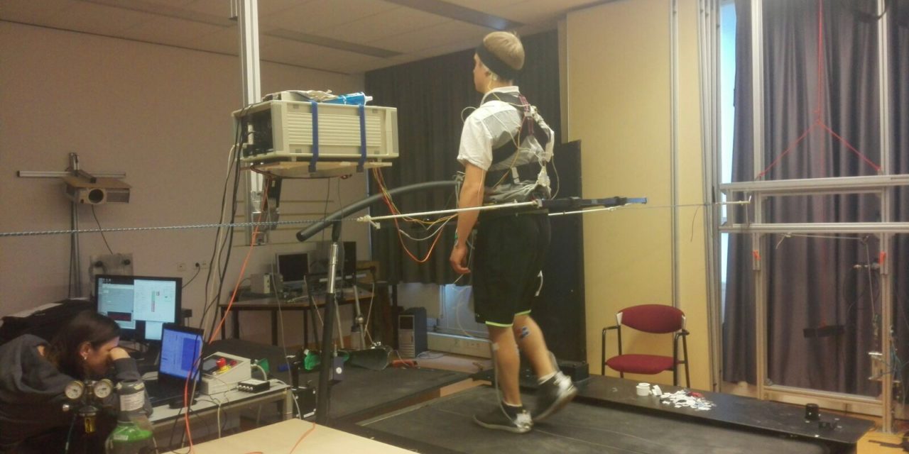 Sensory information for control of gait stability