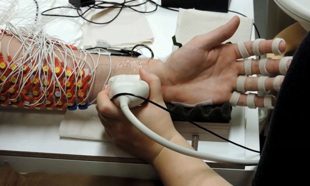 Understanding hand motor control