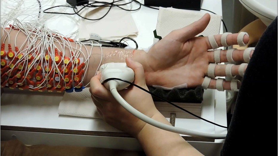Understanding hand motor control