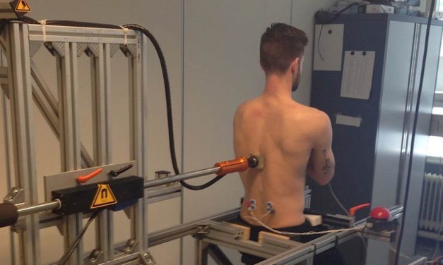 Identification of trunk postural control mechanisms