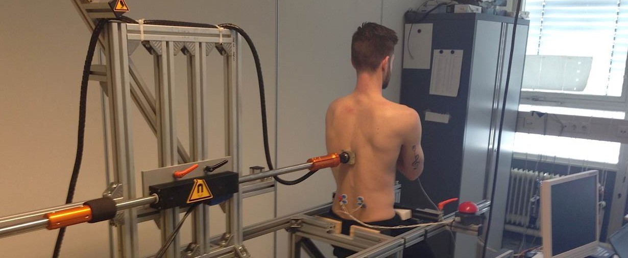 Identification of trunk postural control mechanisms