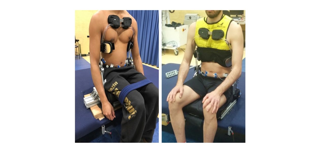 Symbionics: Co-adaptive support of trunk and head in relation to arm movements