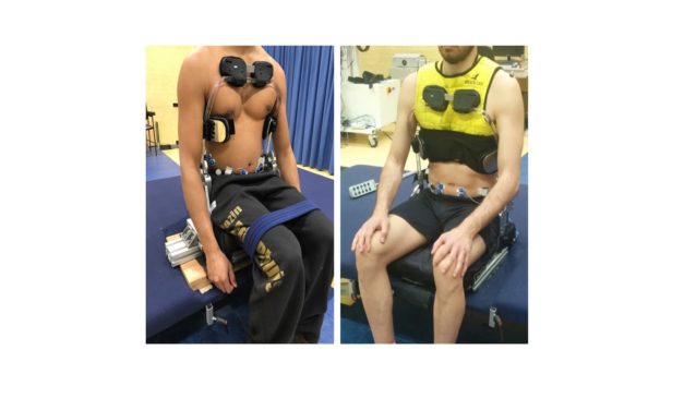 Symbionics: Co-adaptive support of trunk and head in relation to arm movements