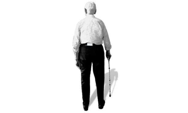 FARAO: Fall Risk Assessment in Older Adults from accelerometry in daily life