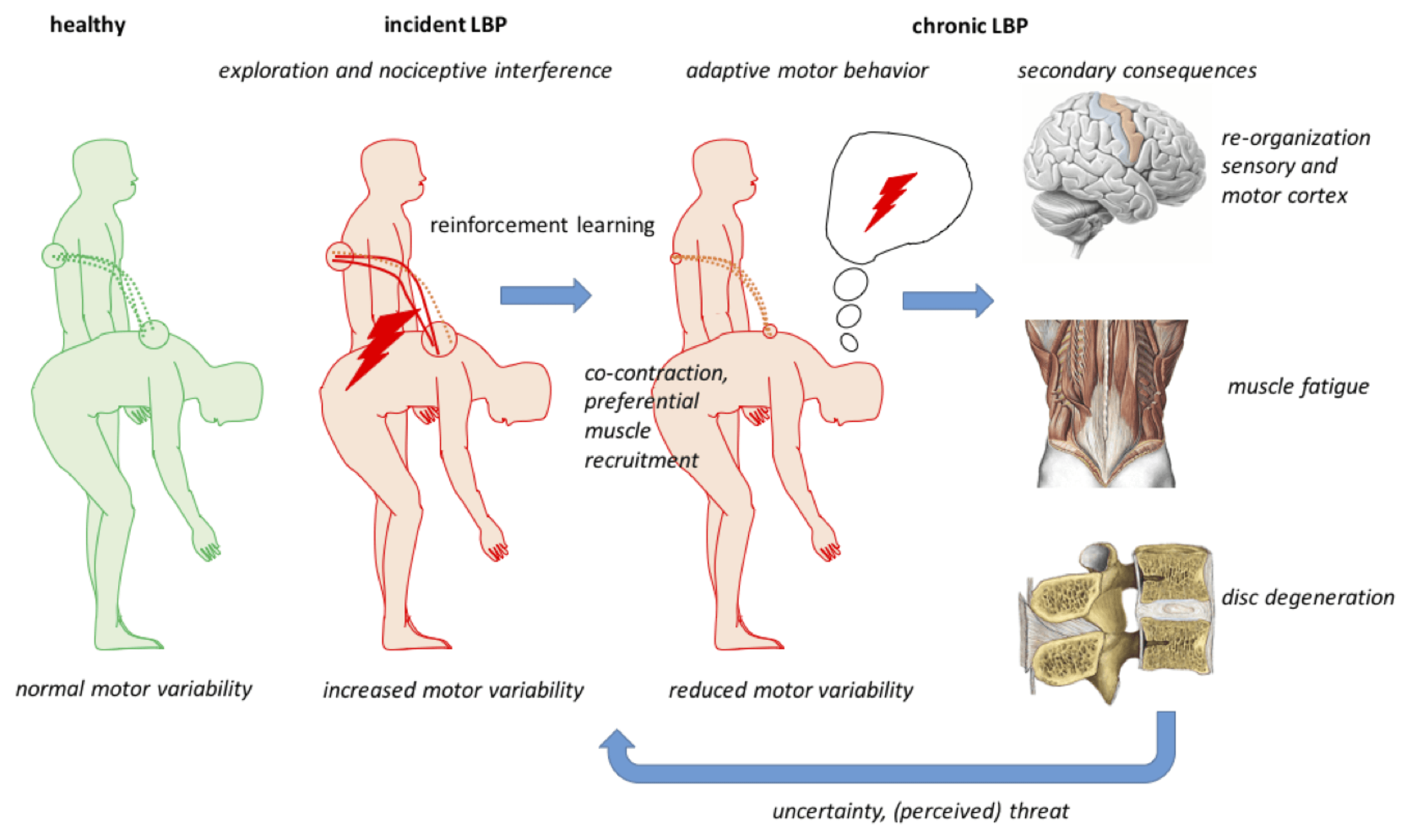 motor learning and pain
