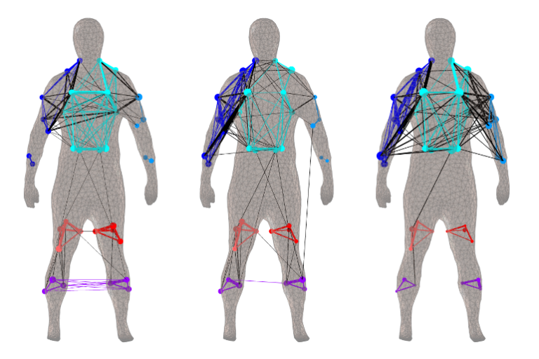 About Human Movement Sciences - Human Movement Sciences | Vrije Universiteit Amsterdam